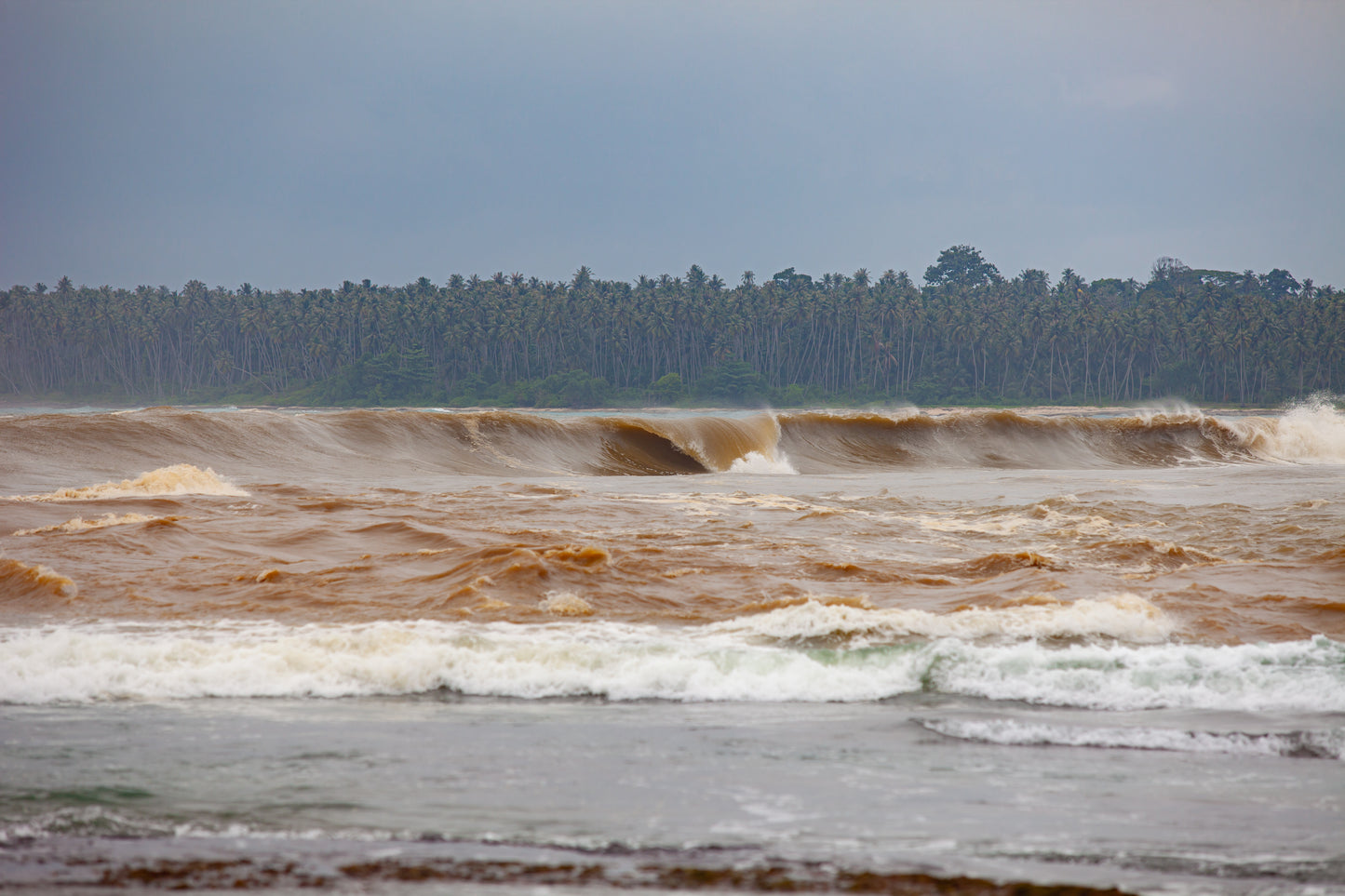 Not Your Average Cuppa Joe