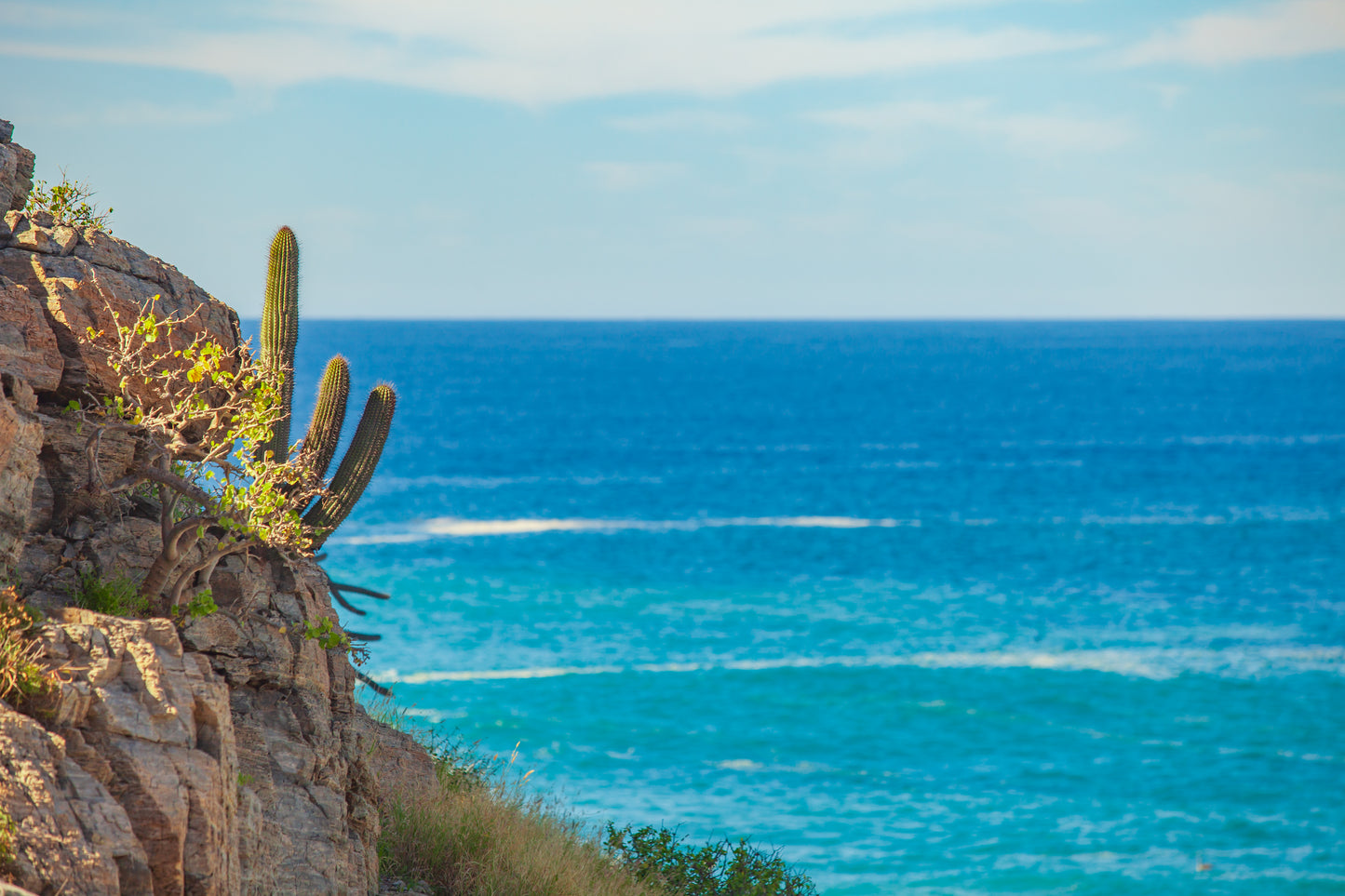 The Land Before Time