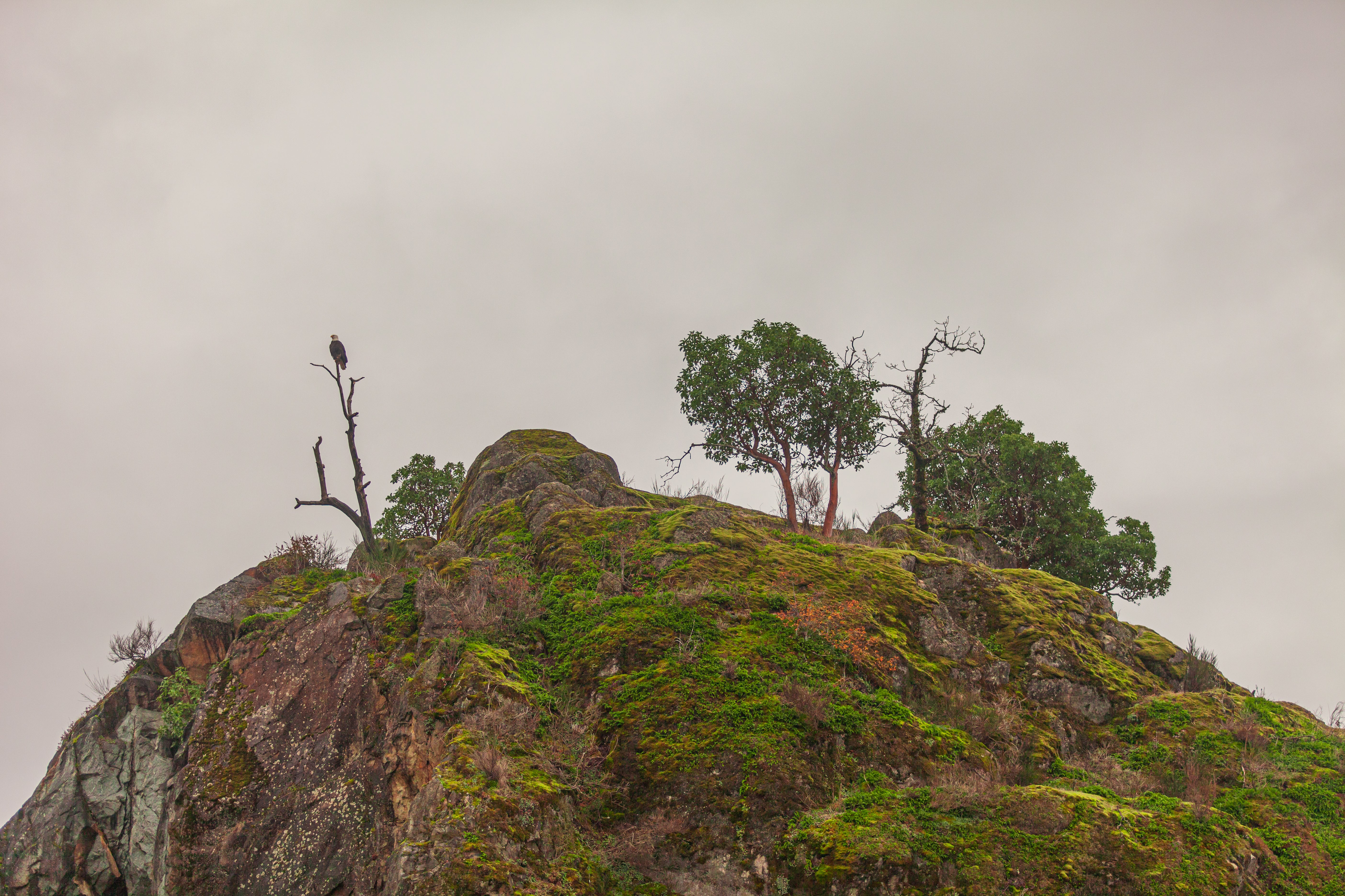 Eagle View Ridge Eagle Ridge – The Pass Photography Prints