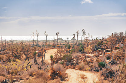 When Mars Had Oceans