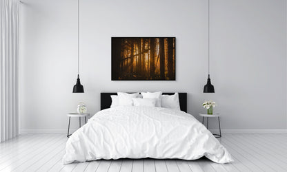 Bedroom with white bedding and a forest painting on the wall of sunlight filtering through trees at sunset in the forest at Long Beach, Tofino, BC. Black float frame.