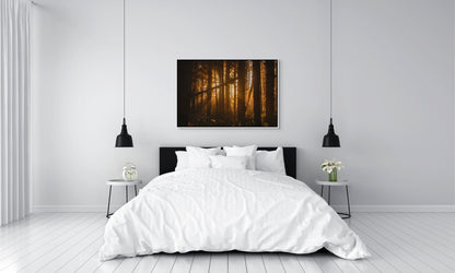 Bedroom with a forest painting above the bed of sunlight filtering through trees at sunset in the forest at Long Beach, Tofino, BC. White float frame.