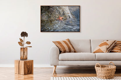 Living room with a gray sofa, decorative pillows, a wooden side table with a vase, and a cedar framed painting on the wall depicting a orange starfish resembling Patrick Star.
