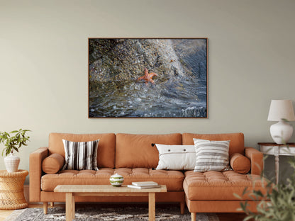Living room with a orange sofa, coffee table, and decorative pillows, featuring a large cedar framed picture on the wall of a starfish resembling Patrick Star.