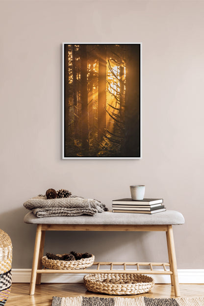 Framed artwork of sunlight filtering through trees in a forest with sun rays above a bench with decor items in a room. White float frame.